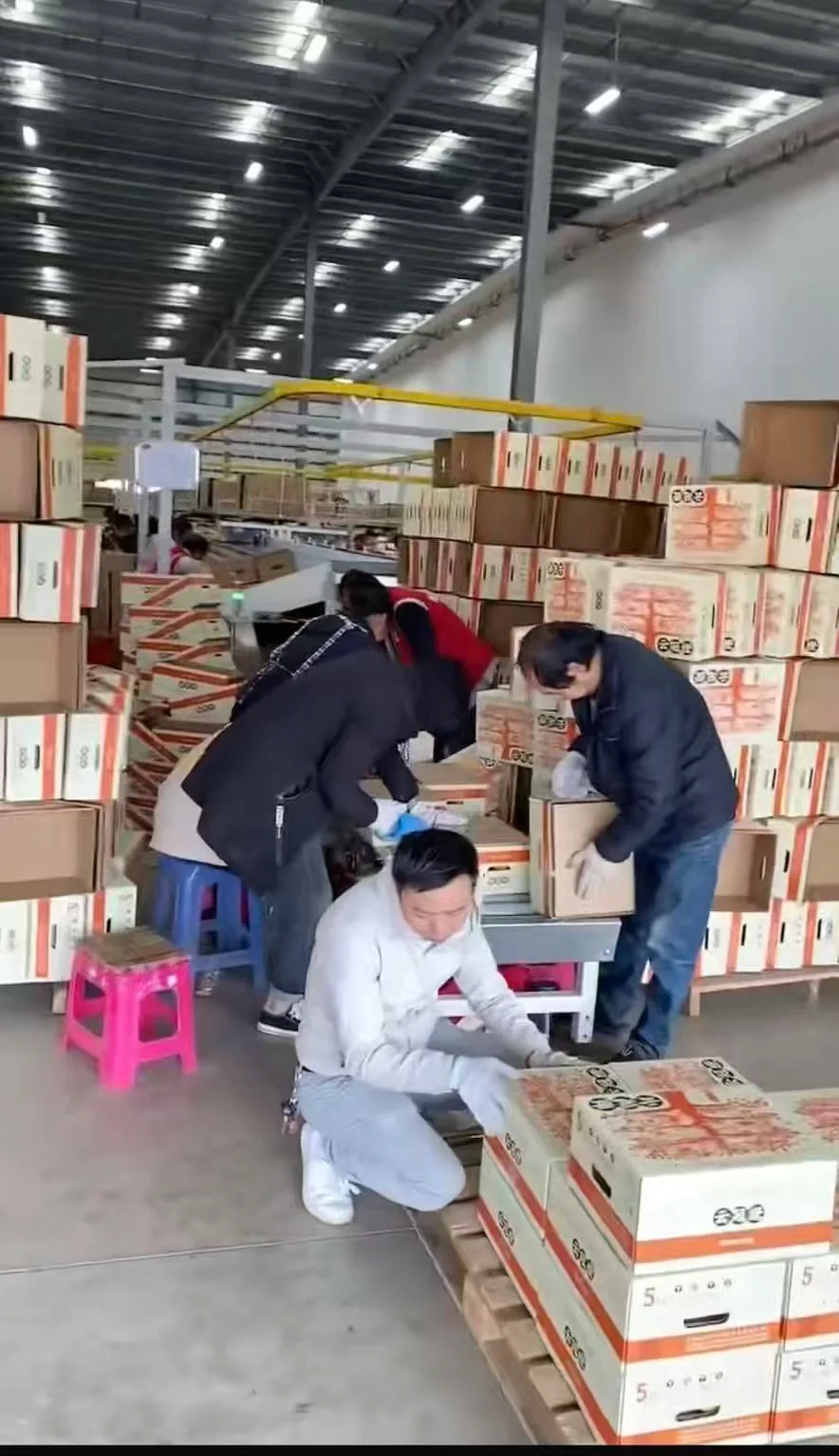 Workers preparing printed fruit boxes around a packing table inside a large industrial building