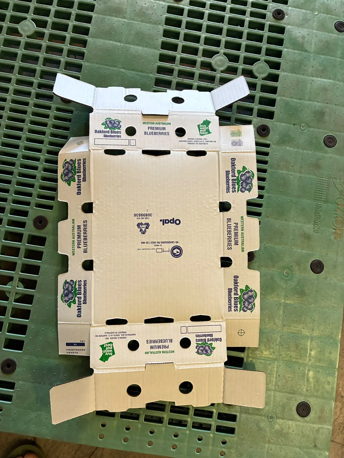 Opened corrugated tray laid flat, showing the centre panel, crease lines, tabs, flaps and cut-outs