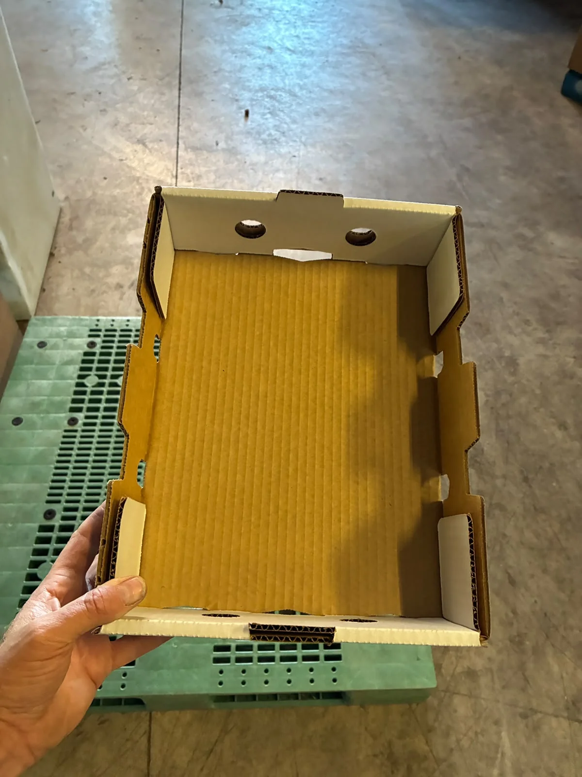 Formed corrugated tray viewed from above, showing upright walls, folded corner panels and openings