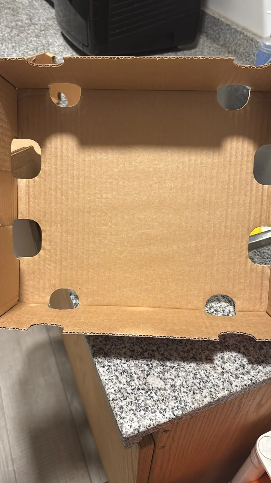 Inside the actual cherry carton with rounded openings at the base folds and notches along the upper edges