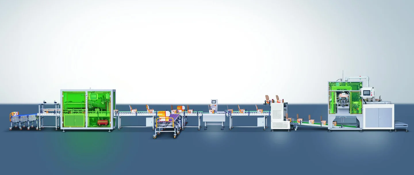 XD-Z05 Xunding Automatic fruit box forming line, image extracted from the company catalogue